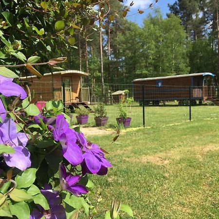 Roulottes Du Chalet Des Pins Rougeou Kültér fotó