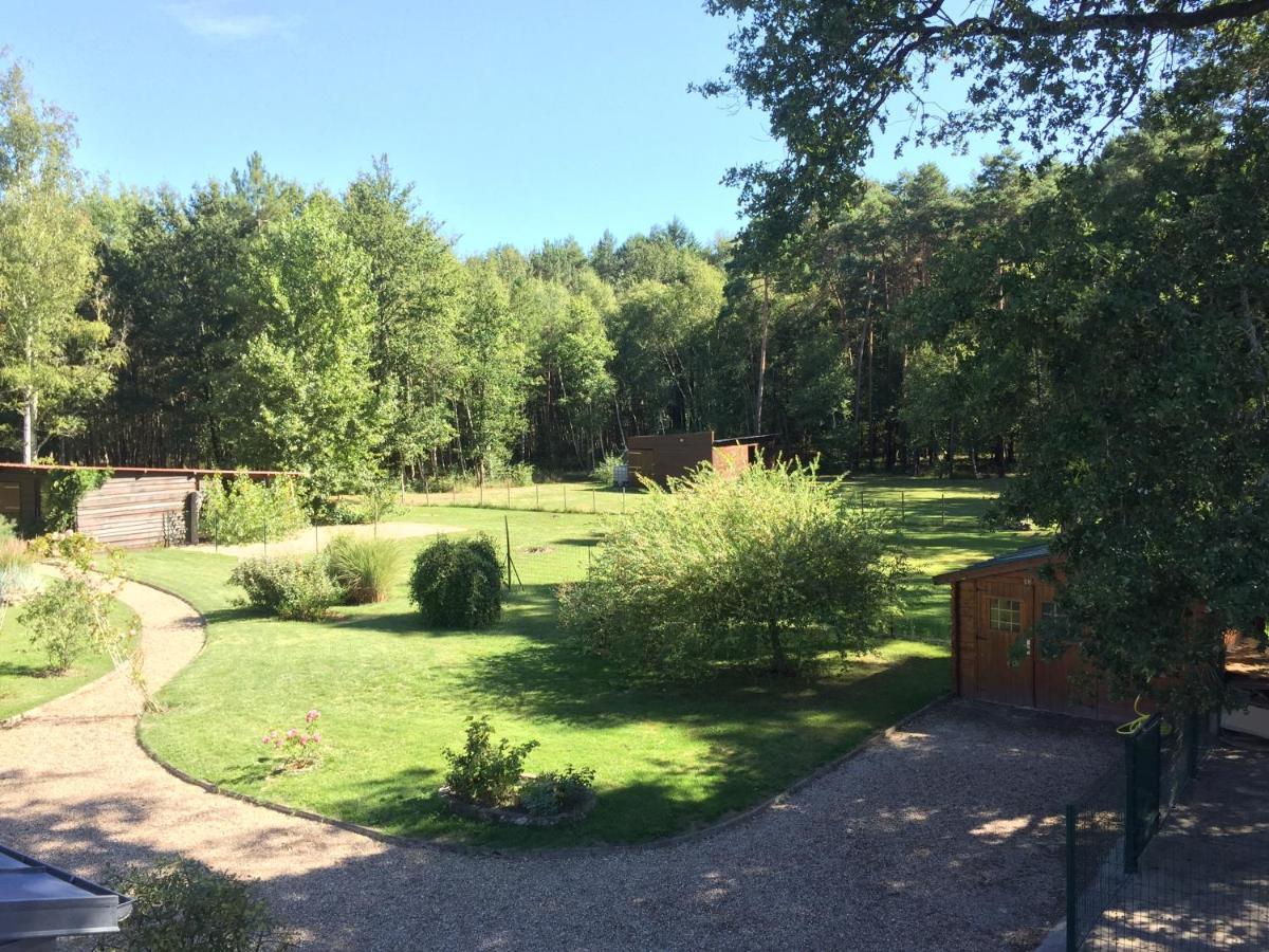 Roulottes Du Chalet Des Pins Rougeou Kültér fotó