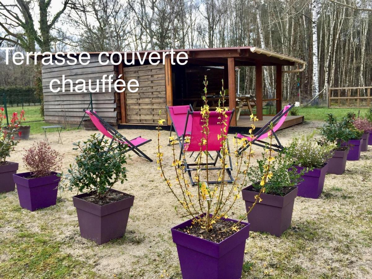 Roulottes Du Chalet Des Pins Rougeou Kültér fotó