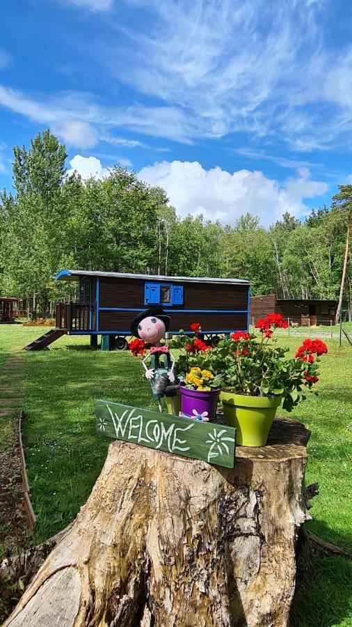 Roulottes Du Chalet Des Pins Rougeou Kültér fotó